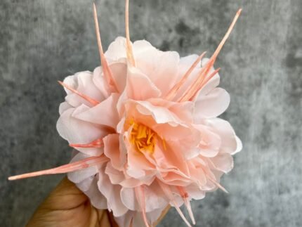 Alberic barbier rose soft peach T3107 (Pack of 5)