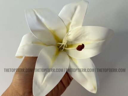 White Lilly - Single Piece