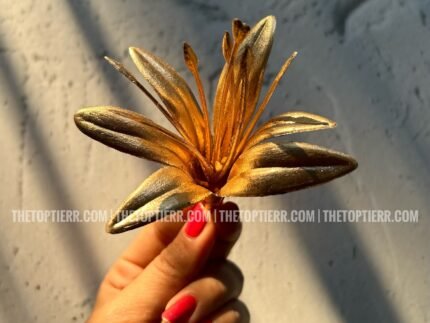 Golden Lily- Pack of 5