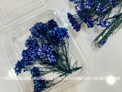 Micromeria Pearl Blue