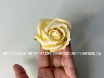 Scented Rose - Cream Color (Single Piece)