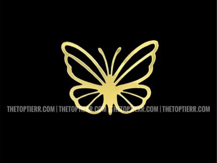 Acrylic Butterfly (Pack of 6) (AB 4)