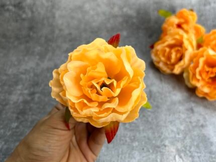 French Rose Orange T3102 Pack of 5